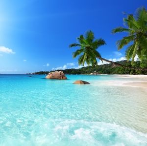 🦋Make an offer! Bundle and save. Most reasonable offers accepted.🦜